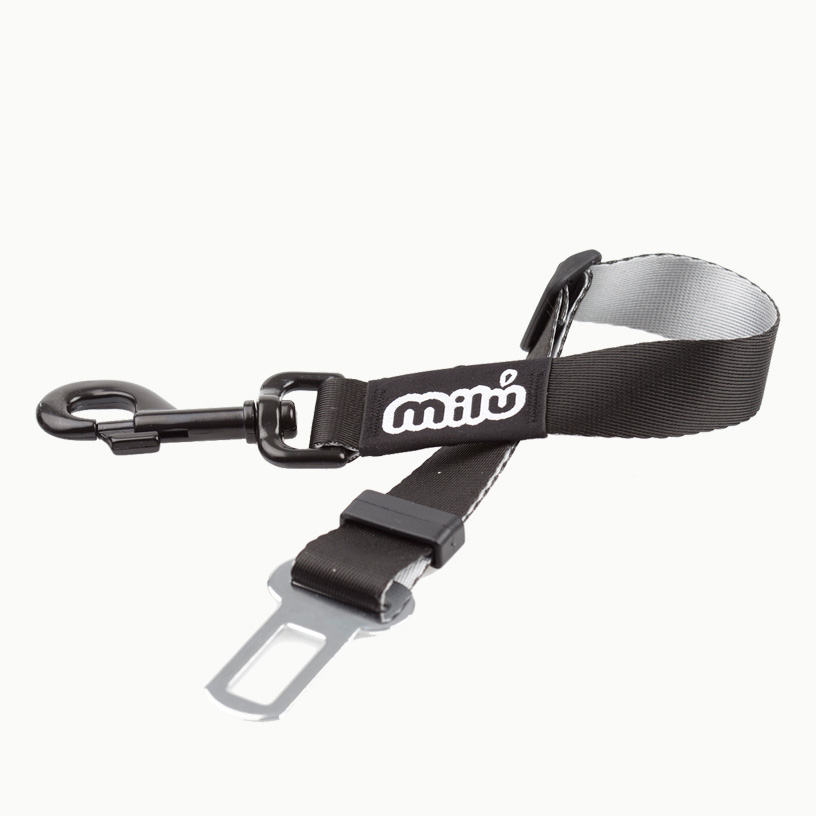Cinturón de seguridad