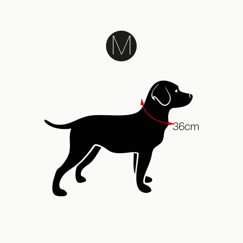 Cuello Mascota Beige